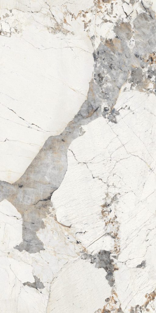 Mẫu đá BRECCIA PATAGONIA — ảnh 1
